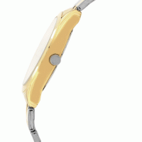TITAN 1582BM01
