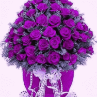 Test Flower
